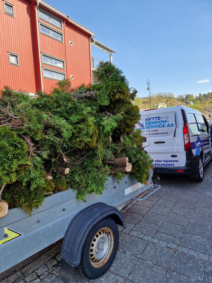 485197557_1146992254105380_7501892235346406291_n